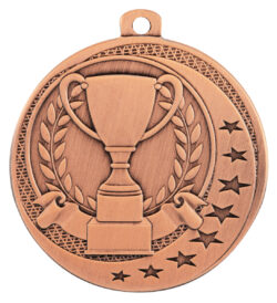 Achievement Wayfare Medal