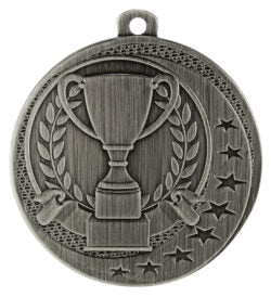 Achievement Wayfare Medal